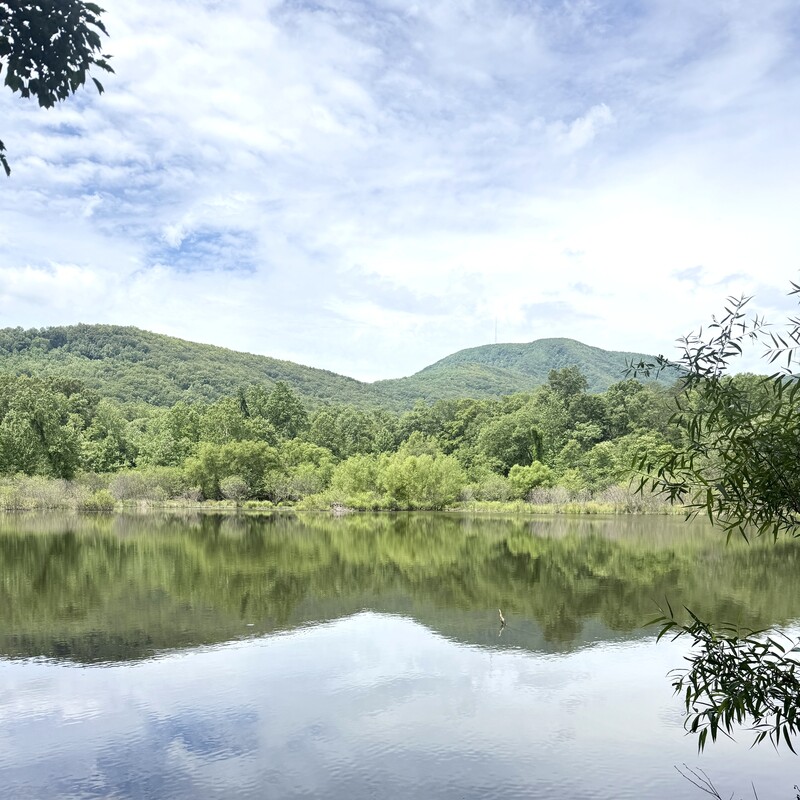 Escape the Hub City: Short Journeys from Spartanburg -- Blue Wall Preserve