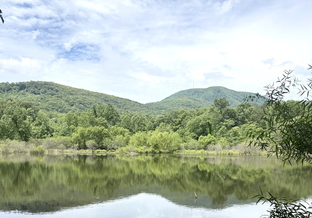 Escape the Hub City: Short journeys from Spartanburg -- Blue Wall Preserve