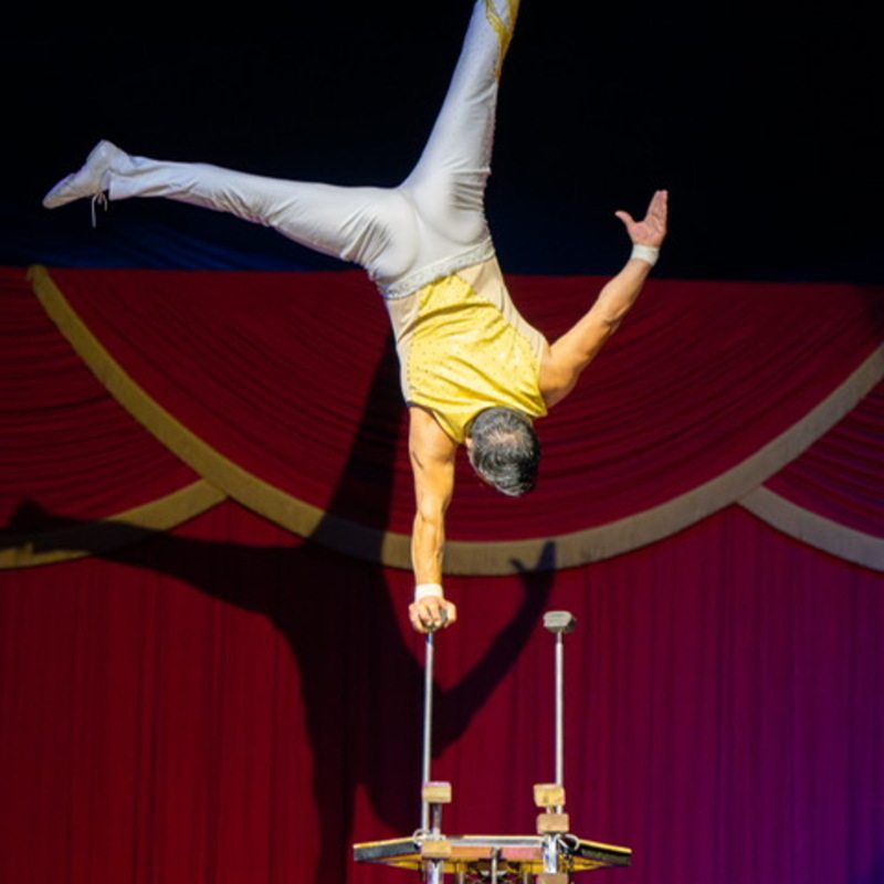 Do Portugal Circus brings four-day run to Spartanburg