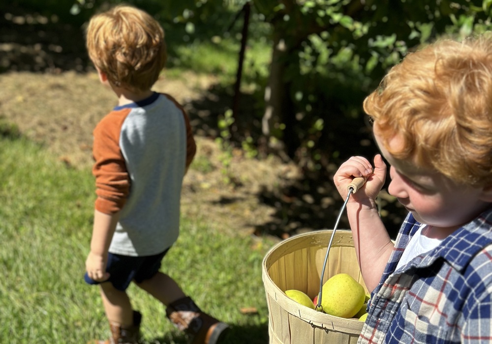 Escape the Hub City: Six Fall road trips worth taking from Spartanburg