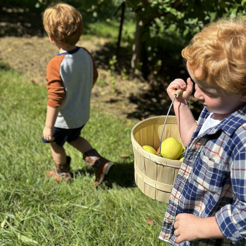 Escape the Hub City: Six Fall road trips worth taking from Spartanburg