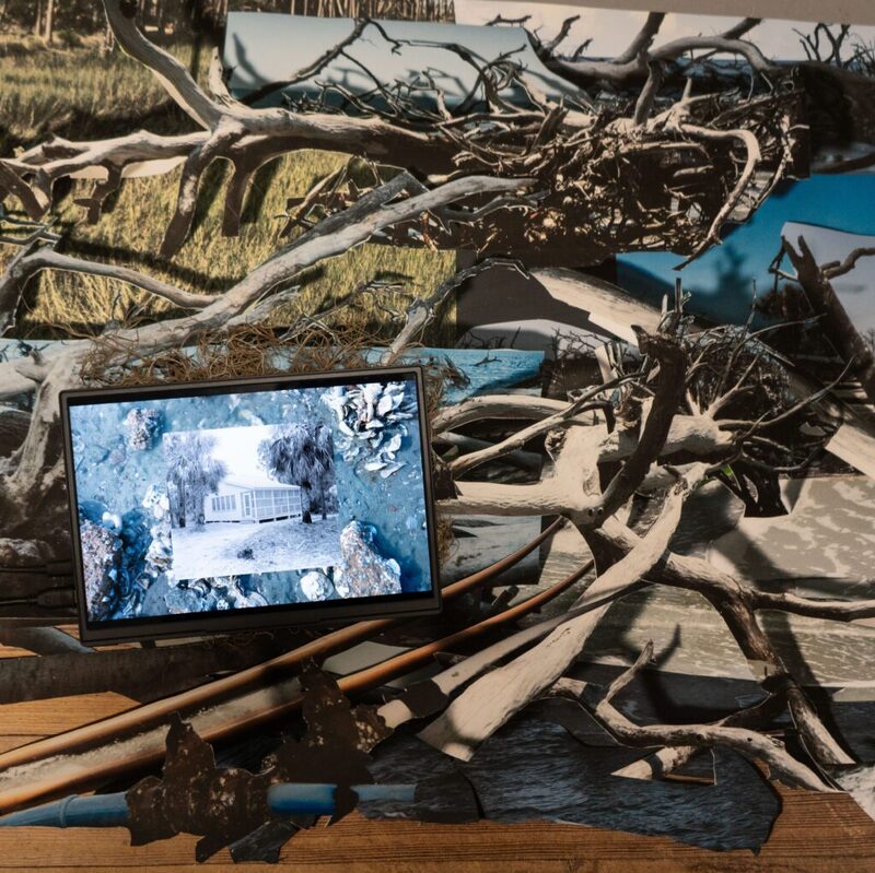 Spartanburg Art Museum Showcases ‘In Extremis,’ a Multimedia Exploration of South Carolina’s Changing Landscapes
