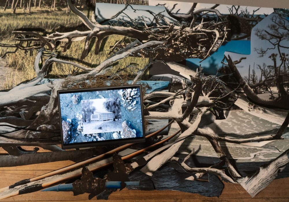 Spartanburg Art Museum Showcases ‘In Extremis,’ a Multimedia Exploration of South Carolina’s Changing Landscapes