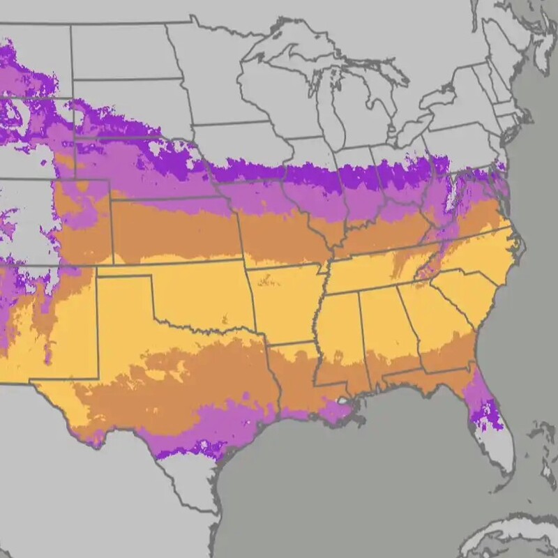 Pollen, pollen everywhere – Upstate counts expected to remain high through April