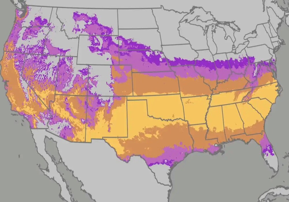 Pollen, pollen everywhere – Upstate counts expected to remain high through April